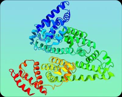 Antigen